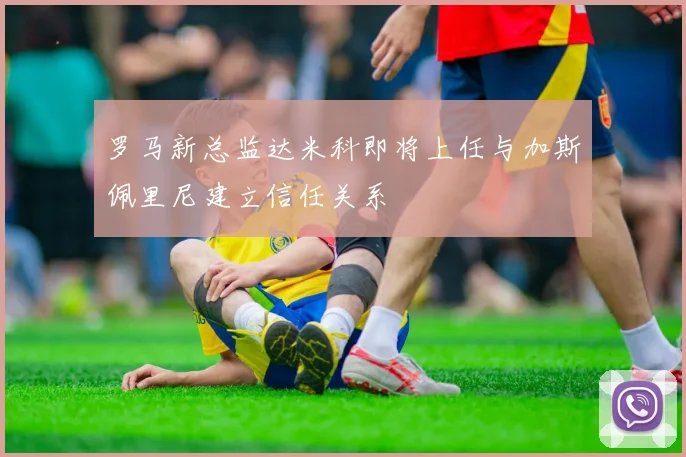 罗马新总监达米科即将上任与加斯佩里尼建立信任关系
