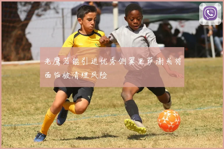 老鹰若能引进优秀侧翼里萨谢或将面临被清理风险